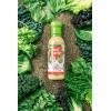 Plant Junkie Chipotle Ranch Dressing, Plant-Based Salad Dressing (12 Ounces)(Chia Ranch Dressing)