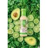 Plant Junkie Chipotle Ranch Dressing, Plant-Based Salad Dressing (12 Ounces)(Cilantro Avocado Ranch Dressing)